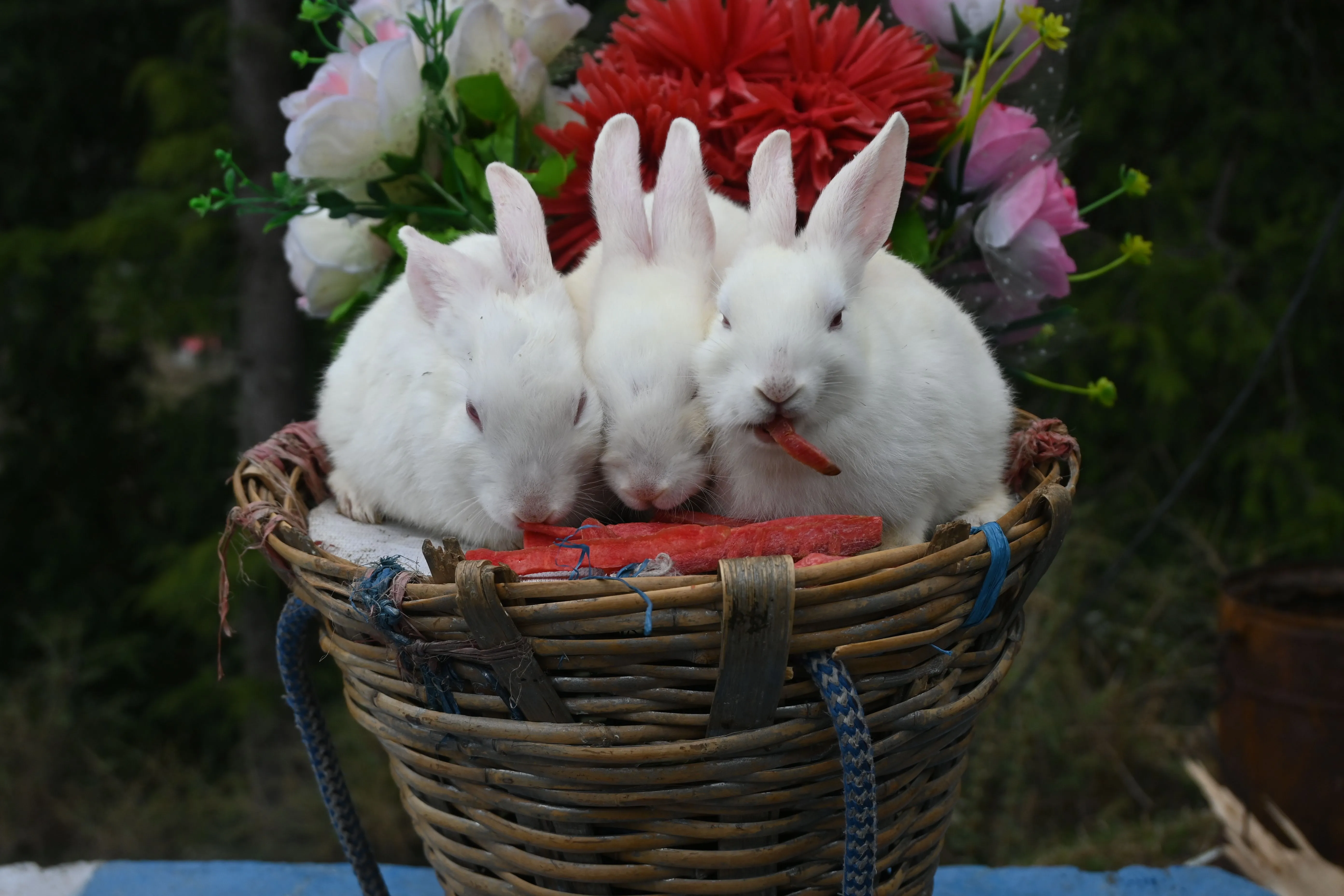 Placeholder background image